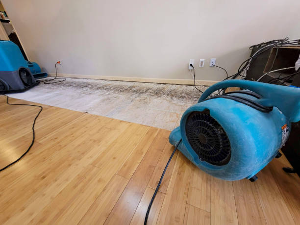 Professional Water Damage Repair technician working in Wishram, WA